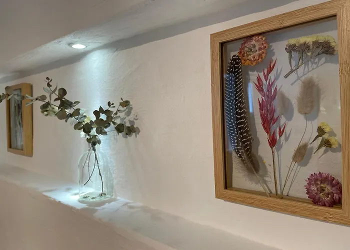 斯特凡科赫住宿加早餐旅馆 住宿加早餐酒店 鲁斯特